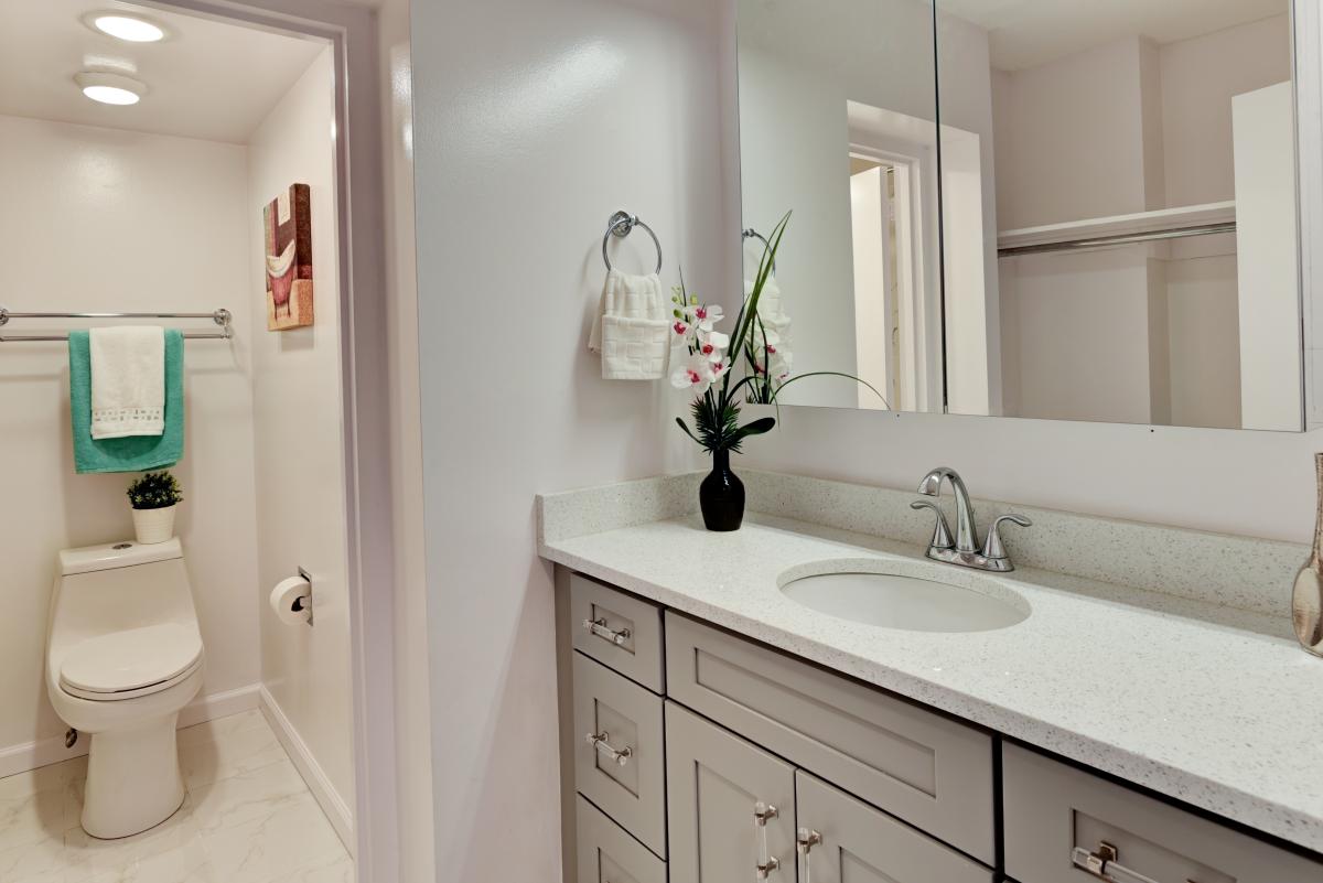 Dressing room & Bathroom Detail.  Willoughby Studio Apartment For Rent in Heart of Chevy Chase, MD: Phone or text Don at 805-276-0689