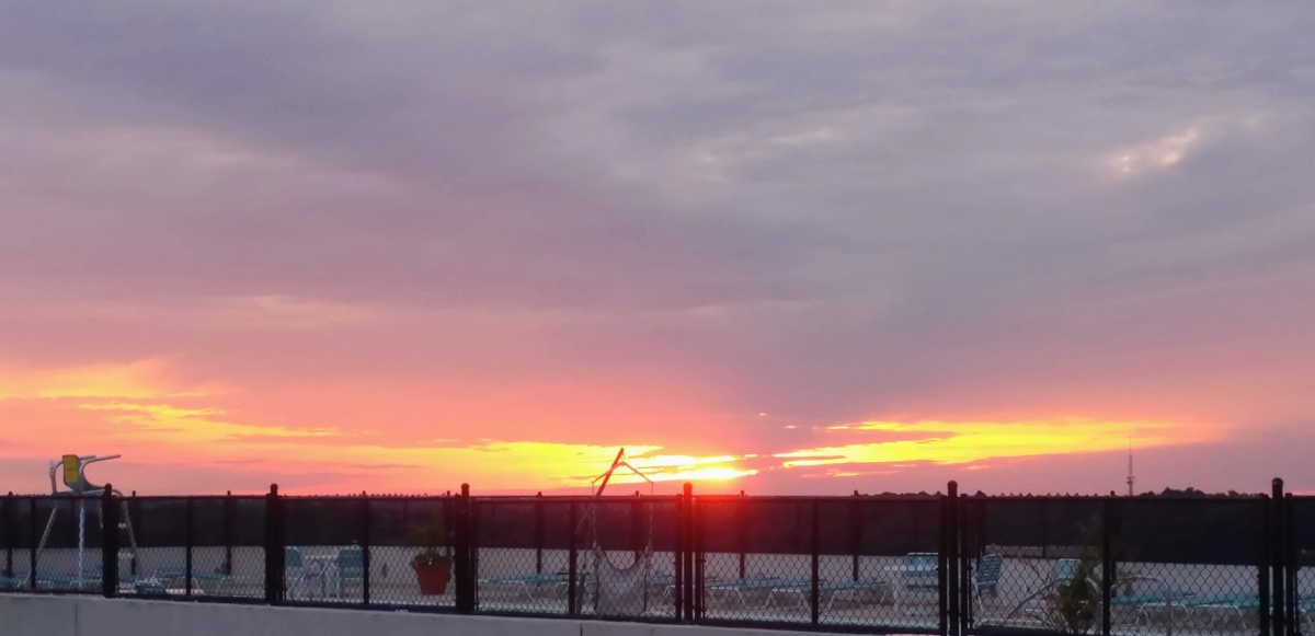 Sunset over the Pool. Willoughby Studio Apartment.